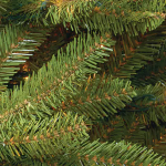 7 ft. Pre-Lit Dunhill® Fir Full Artificial Christmas Tree