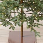 Alpine Fir® Tree (Abies lasiocarpa)