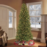 10′ Slim Fraser Fir with 900 Clear Lights