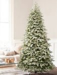 Frosted Fraser Fir Christmas Tree