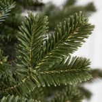 Fraser Fir Christmas Tree