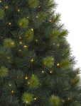 Scotch Pine Christmas Trees