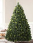 Scotch Pine Christmas Trees