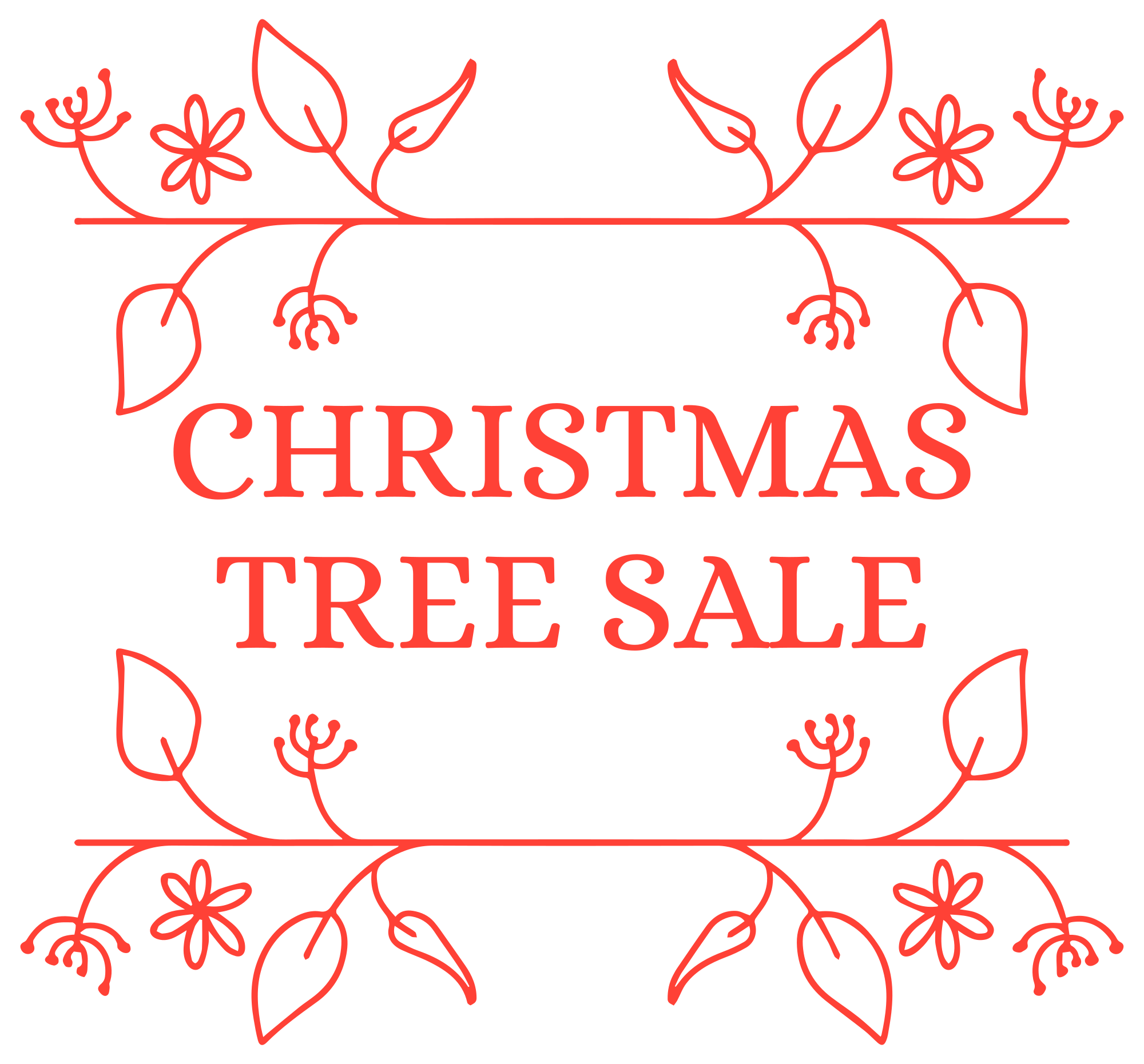 Christmas Tress Sale